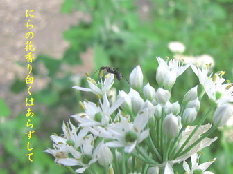 �o��Ƃ�悪��