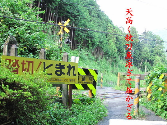 �o��Ƃ�悪��