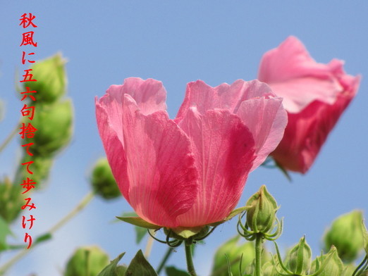 �o��Ƃ�悪��