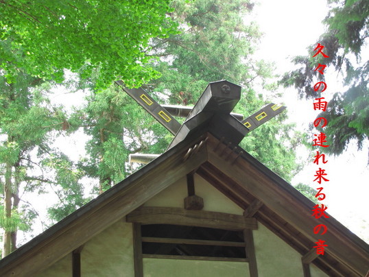 �o��Ƃ�悪��