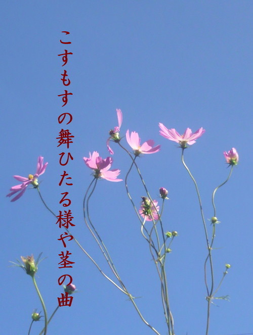 �o��Ƃ�悪��