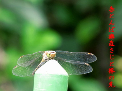 �o��Ƃ�悪��