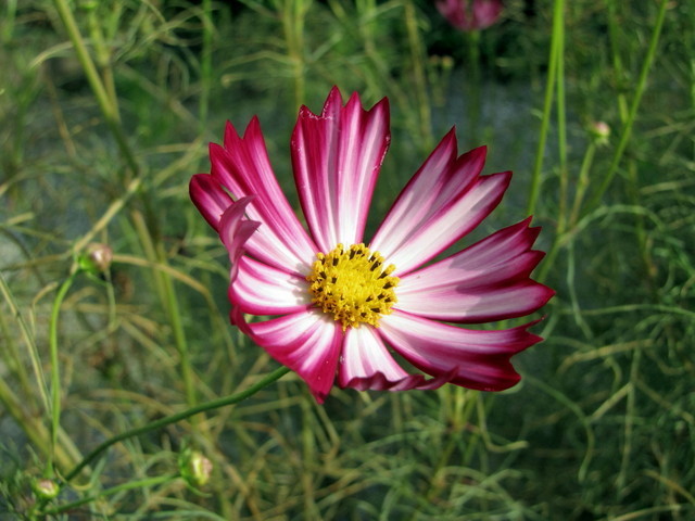 �o��Ƃ�悪��