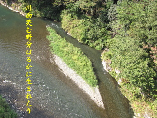 �o��Ƃ�悪��