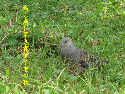 �o��Ƃ�悪��