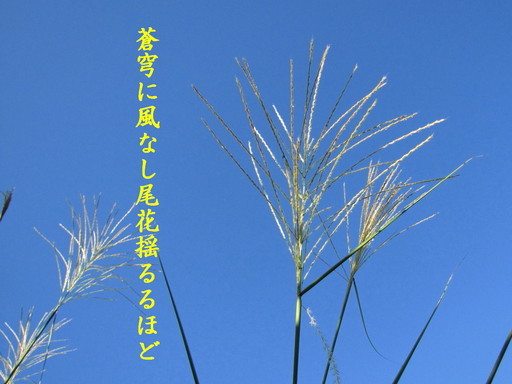 �o��Ƃ�悪��