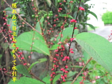 �o��Ƃ�悪��