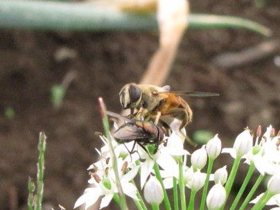 �o��Ƃ�悪��