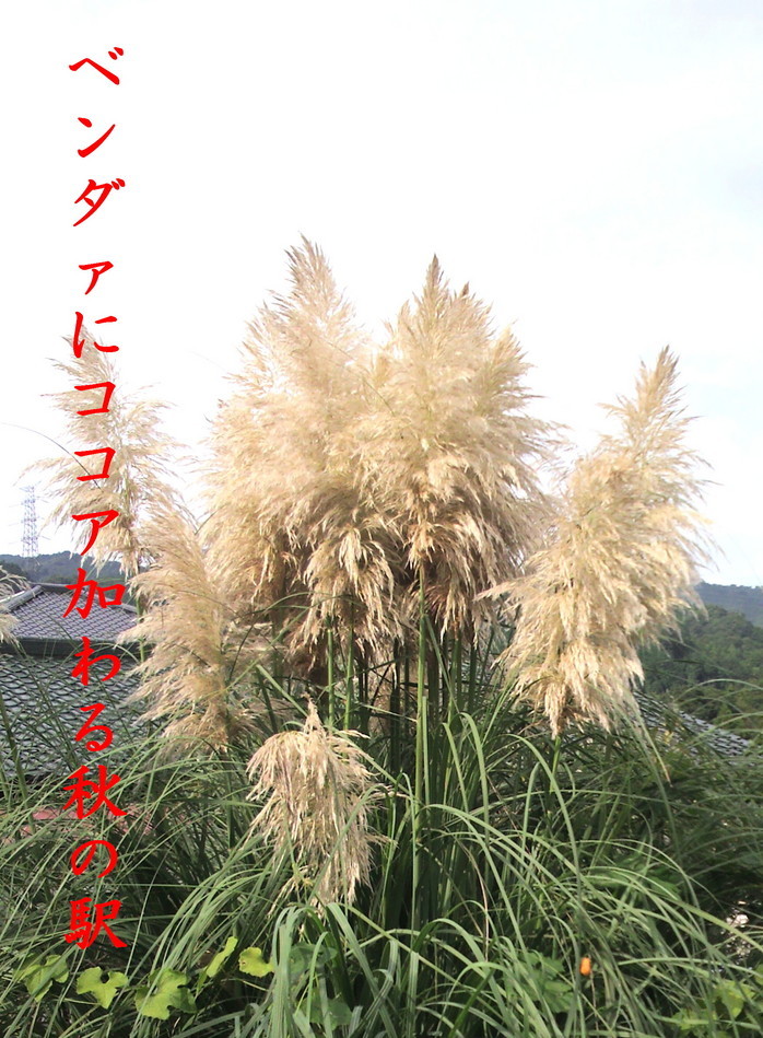 �o��Ƃ�悪��