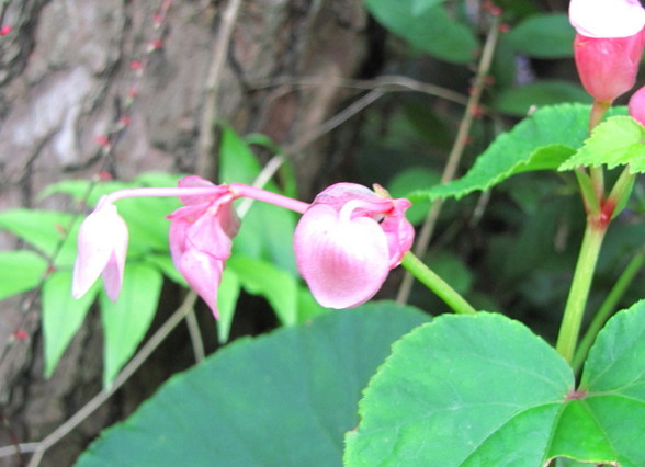 �o��Ƃ�悪��