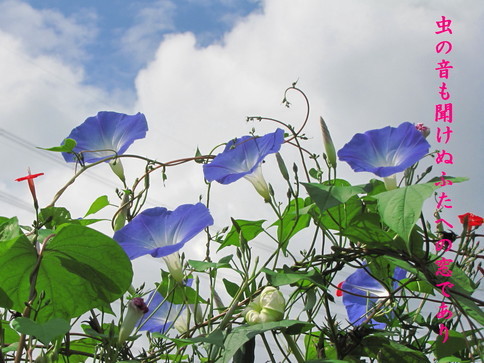 �o��Ƃ�悪��