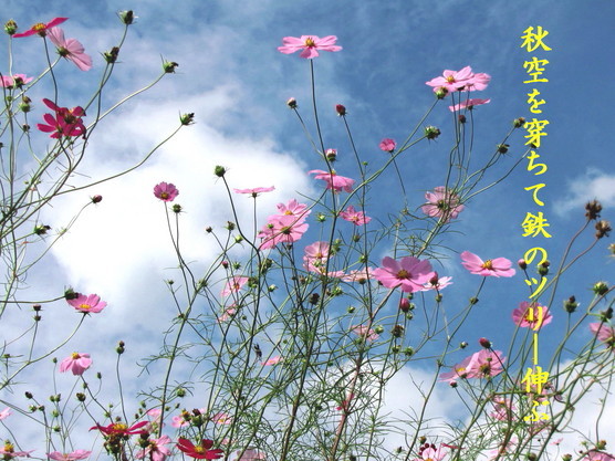 �o��Ƃ�悪��