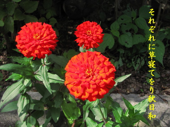 �o��Ƃ�悪��