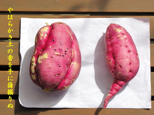 �o��Ƃ�悪��