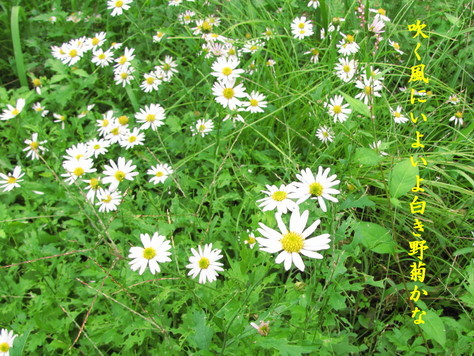 �o��Ƃ�悪��