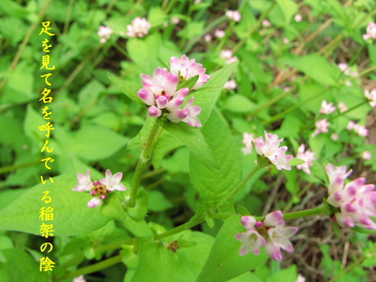 �o��Ƃ�悪��