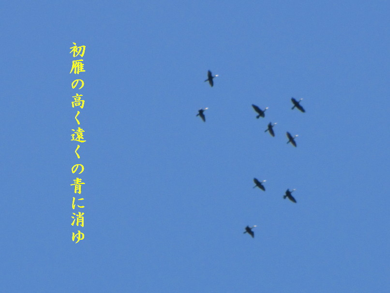 �o��Ƃ�悪��