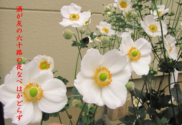 �o��Ƃ�悪��