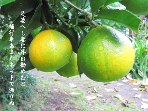 �o��Ƃ�悪��