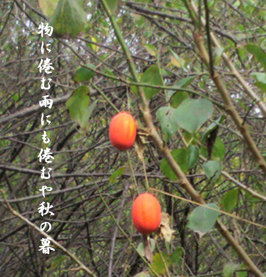 �o��Ƃ�悪��