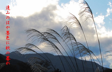 �o��Ƃ�悪��