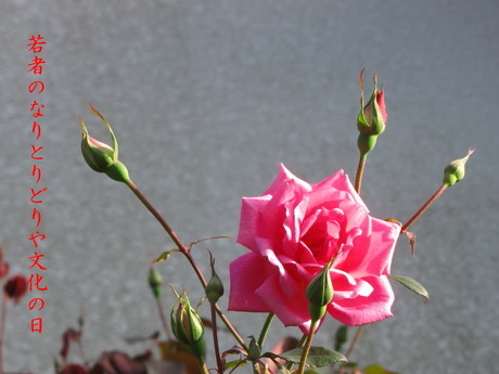 �o��Ƃ�悪��