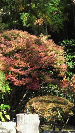 �o��Ƃ�悪��