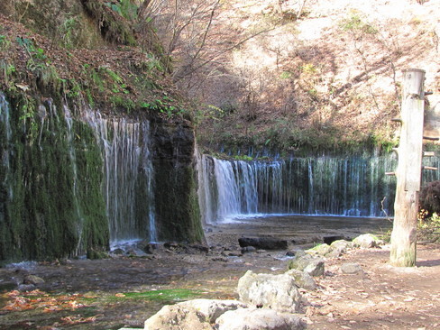 �o��Ƃ�悪��