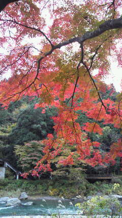 �o��Ƃ�悪��