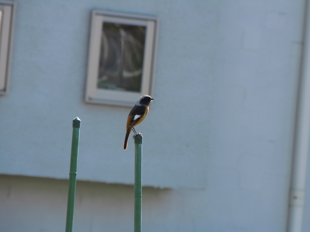 �o��Ƃ�悪��