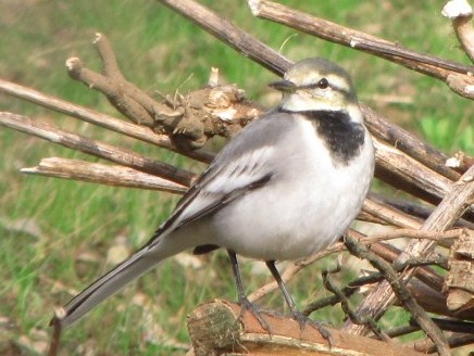 �o��Ƃ�悪��