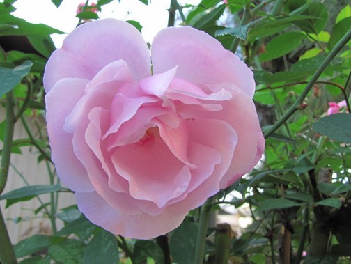 �o��Ƃ�悪��