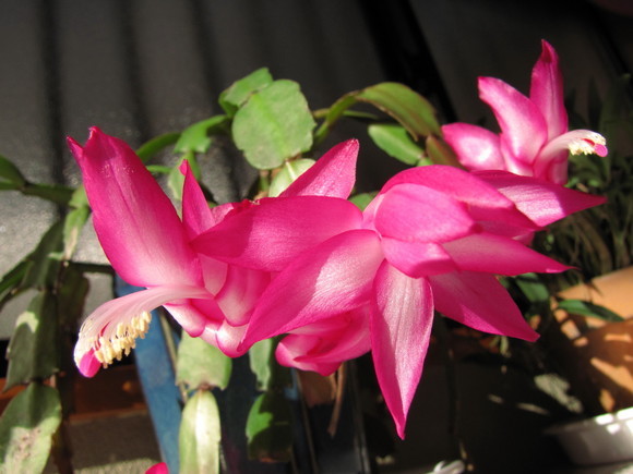 �o��Ƃ�悪��