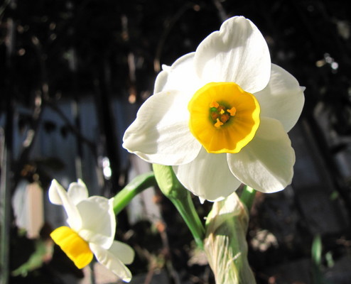 �o��Ƃ�悪��