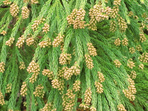 �o��Ƃ�悪��