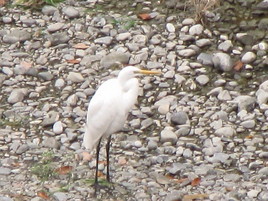 �o��Ƃ�悪��