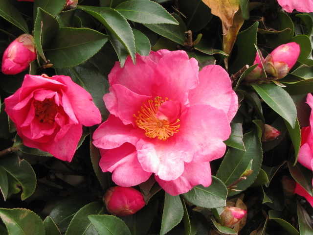 �o��Ƃ�悪��