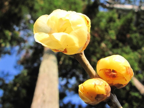 �o��Ƃ�悪��