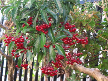 �o��Ƃ�悪��