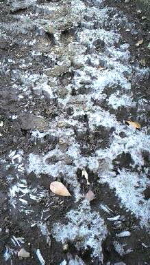 �o��Ƃ�悪��