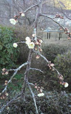 �o��Ƃ�悪��