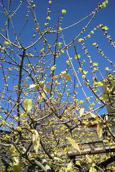 �o��Ƃ�悪��