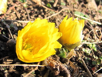 �o��Ƃ�悪��