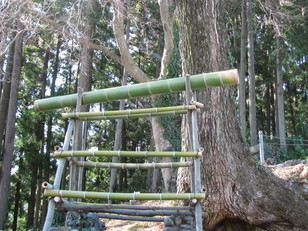 �o��Ƃ�悪��