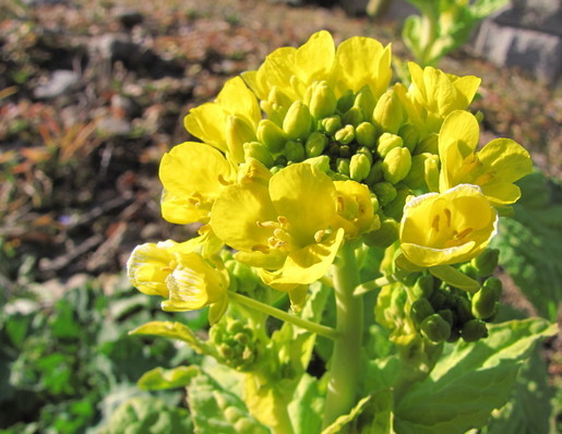 �o��Ƃ�悪��