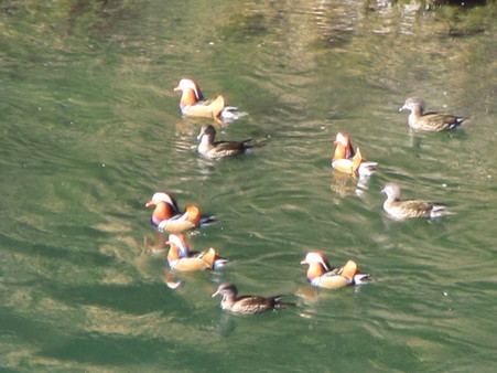 �o��Ƃ�悪��