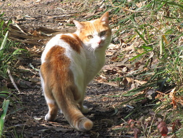 �o��Ƃ�悪��