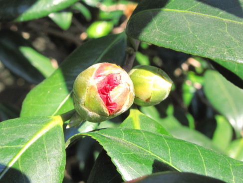 �o��Ƃ�悪��