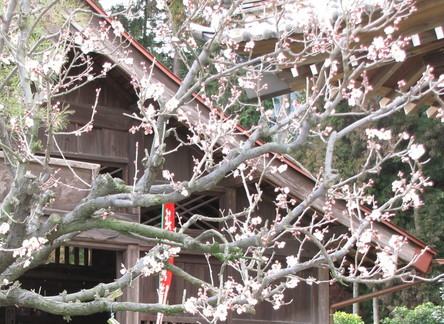 �o��Ƃ�悪��