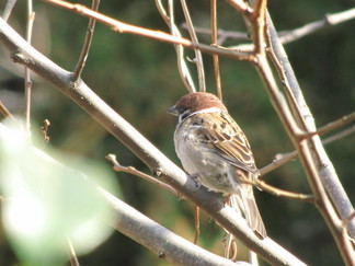 �o��Ƃ�悪��